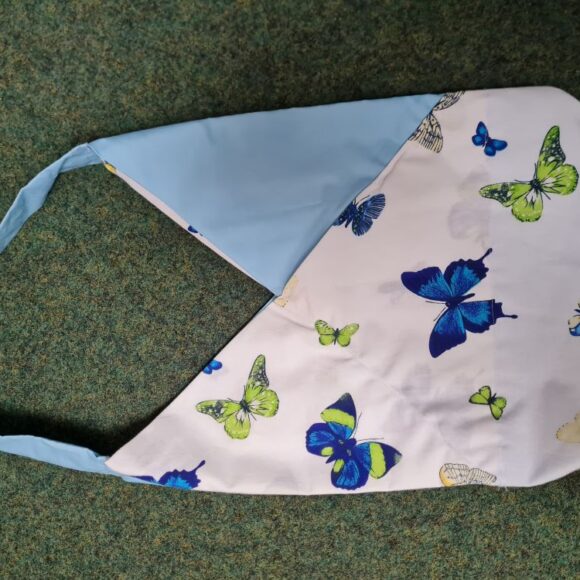 AES_1_06-12-21_klein Aktuelles aus dem Fach AES (Kl. 8a)