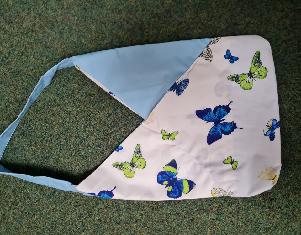 Aktuelles aus dem Fach AES (Kl. 8a)