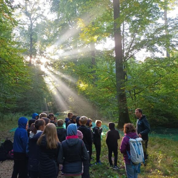 signal-2022-10-07-14-13-34-822-23 Waldaktion der Klasse 6a