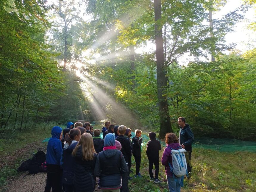 signal-2022-10-07-14-13-34-822-23 Waldaktion der Klasse 6a