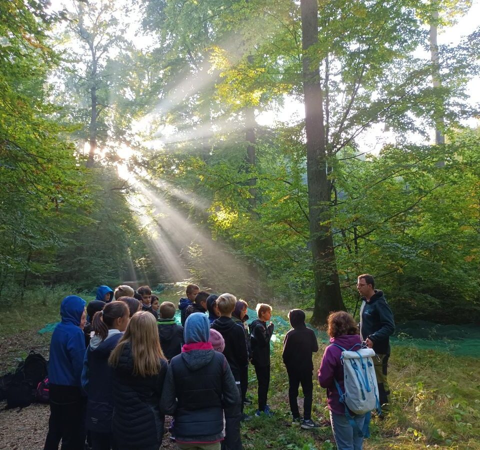 Waldaktion der Klasse 6a